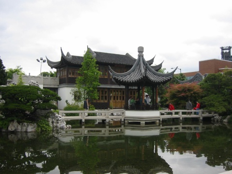 Tao of Tea